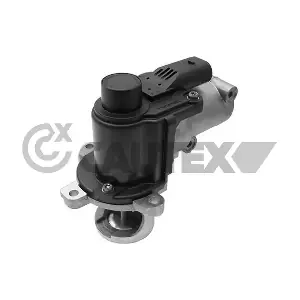 757641 CAUTEX