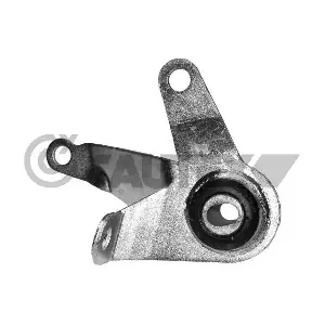 CAUTEX 011080