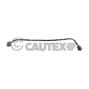 771634 CAUTEX