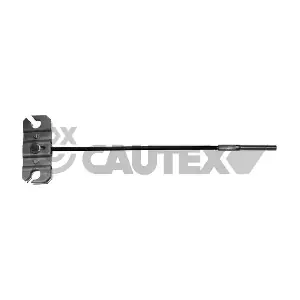761868 CAUTEX