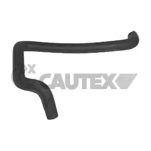 036353 CAUTEX
