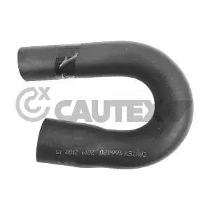 486670 CAUTEX