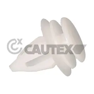 777480 CAUTEX