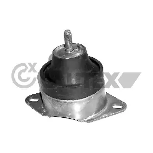031440 CAUTEX