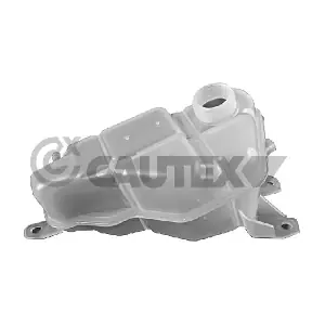 954069 CAUTEX