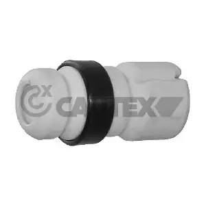 CAUTEX 031407