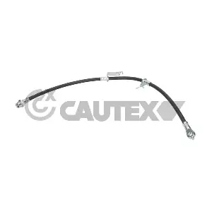 776886 CAUTEX