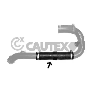 771477 CAUTEX