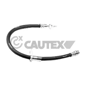 756132 CAUTEX