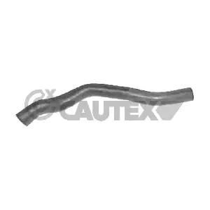 CAUTEX 036123