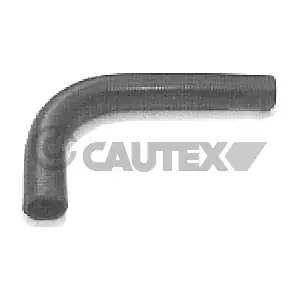 036190 CAUTEX