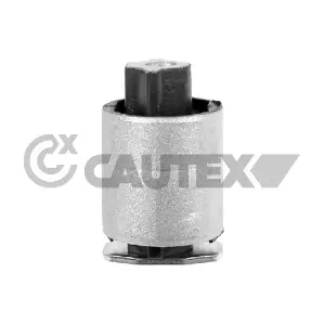 773540 CAUTEX