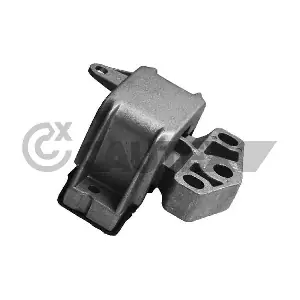 462626 CAUTEX