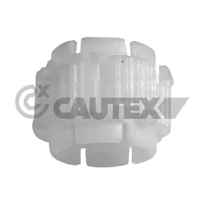 030311 CAUTEX