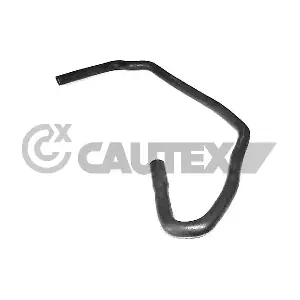 CAUTEX 036482