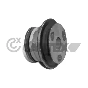 010760 CAUTEX