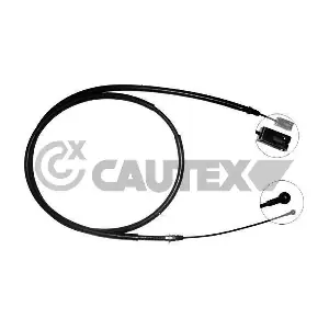 019054 CAUTEX