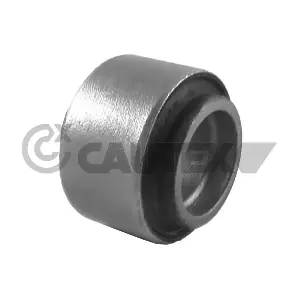 755624 CAUTEX