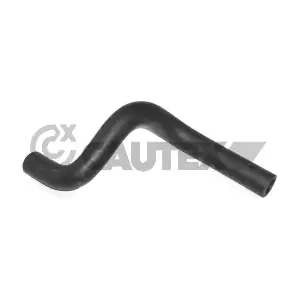 036389 CAUTEX
