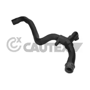 CAUTEX 026831