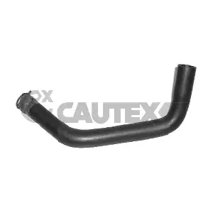036412 CAUTEX