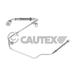 772393 CAUTEX