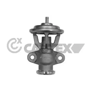 770394 CAUTEX