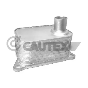 462518 CAUTEX