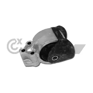 250053 CAUTEX