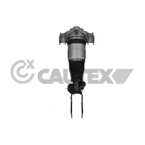 752019 CAUTEX