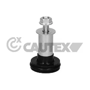 771919 CAUTEX