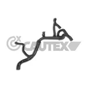 481106 CAUTEX
