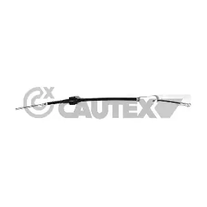 011306 CAUTEX