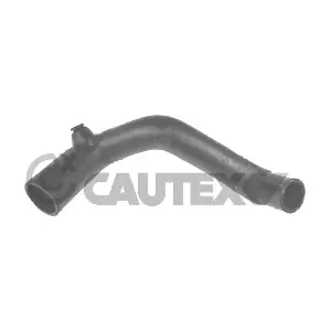 026329 CAUTEX