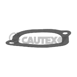 767984 CAUTEX