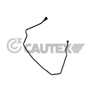 771210 CAUTEX