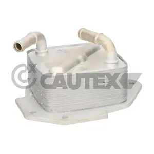 776784 CAUTEX