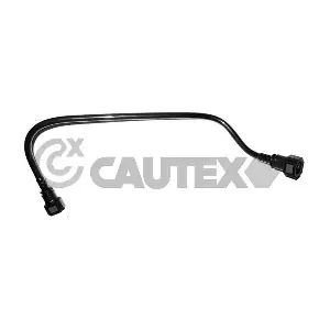 771313 CAUTEX