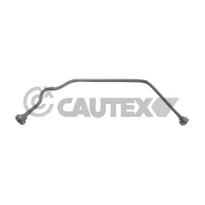 767482 CAUTEX