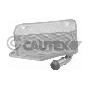 753557 CAUTEX