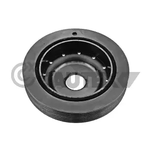 CAUTEX 020935