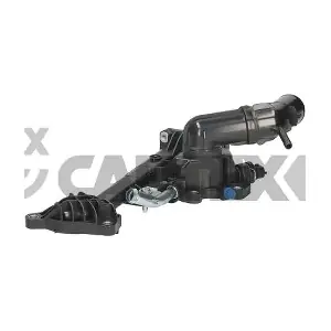 772170 CAUTEX