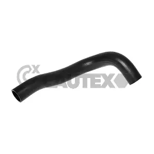 754176 CAUTEX
