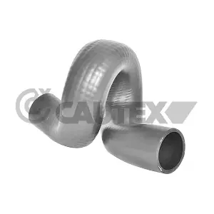 481218 CAUTEX