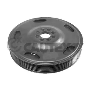 462457 CAUTEX