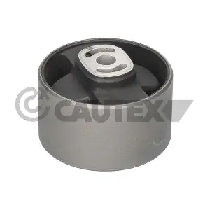 CAUTEX 030893