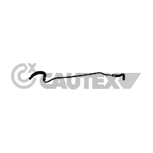 773513 CAUTEX
