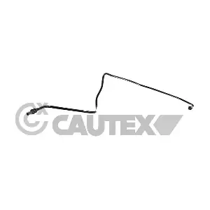 775584 CAUTEX