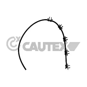 757425 CAUTEX