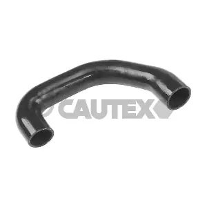 765436 CAUTEX